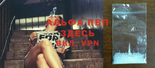 гашик Белоозёрский