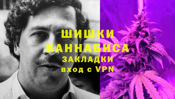 гашик Белоозёрский