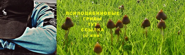 jwh Белокуриха