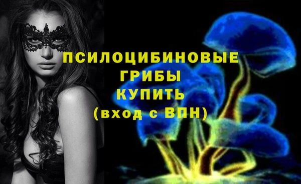 гашик Белоозёрский