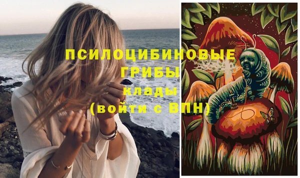jwh Белокуриха