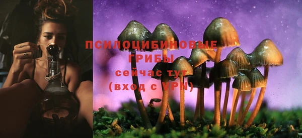 гашик Белоозёрский