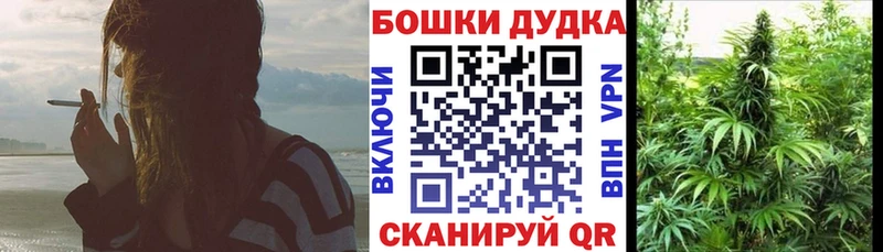 наркошоп  Великие Луки  Каннабис конопля 